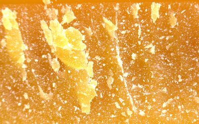 Choosing the Right Beeswax: How We Can Help